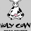 Holy Cow Yoga & Holistic Center