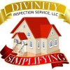 Divinity Inspection Service