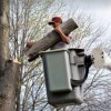 Champion Tree Service