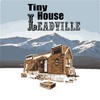 Tiny House Leadville