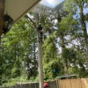 Mason's Tree Services