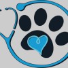 Companion Animal Hospital & Boarding Center