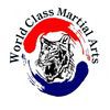 World Class Martial Arts TAE KWON DO