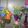 Belle Flowers Design & Decor