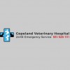 Coupland Veterinary Hospital