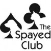 Spayed Club Clinic