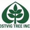 Ostvig Tree