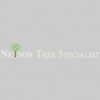 Nelson Tree Specialist