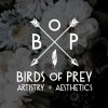 Birds Of Prey Artistry