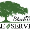 Black Tie Tree Services