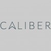 Caliber Associates