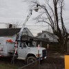 Greeley Tree Service