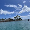 Oahu Diving