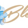 Bloom Dental