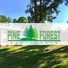 Pine Forest Apartments