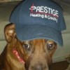 Prestige Heating & Cooling Mechanicsville