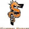 Flushing Karate