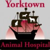 Yorktown Animal Hospital