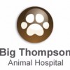 Big Thompson Animal Hospital