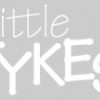 Little Tykes Preschool & Day Care Center