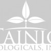 Tainio Technology & Technique
