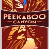 Peekaboo Canyon Wood Fired Kitchen