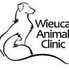 Wieuca Animal Clinic