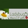 Ladybug's Flowers & Gifts