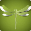 Dragonfly Acupuncture