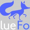 Blue Fox Outdoor Living