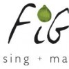 FiG Advertising