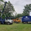 Galvez Tree Service