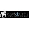 The Law Office Of David D Curtis