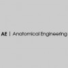 Anatomical Engineering