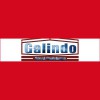 GALINDO Steel Buildings