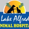 Lake Alfred Animal Hospital