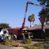 AZ Tree Trimmer