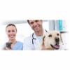 Susquehanna Trail Animal Hospital