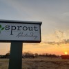 Sprout Kids Academy