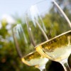 Pa Wine Tours