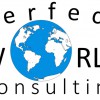 Perfect World Consulting