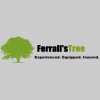 Ferrall's Tree Trimming & Removal