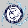 Pressure Dog Pressure Washing