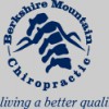 Berkshire Mountain Chiropractic, P.C