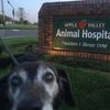 Apple Valley Animal Hospital