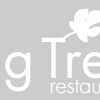 The Fig Tree Restaurant