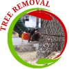 Ohio Tree & Excavating