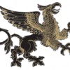 Griffin Black