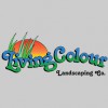 Living Colour Landscape