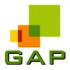 GAP Consulting